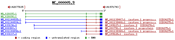 gene image