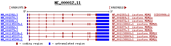 gene image