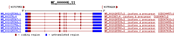 gene image