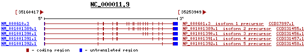 gene image