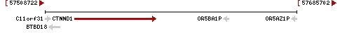 gene image