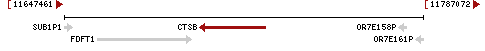 gene image