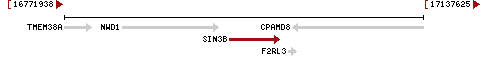 gene image