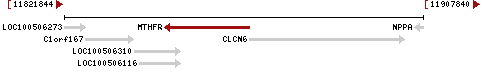 gene image
