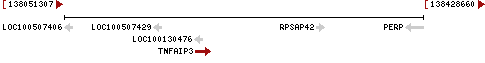 gene image