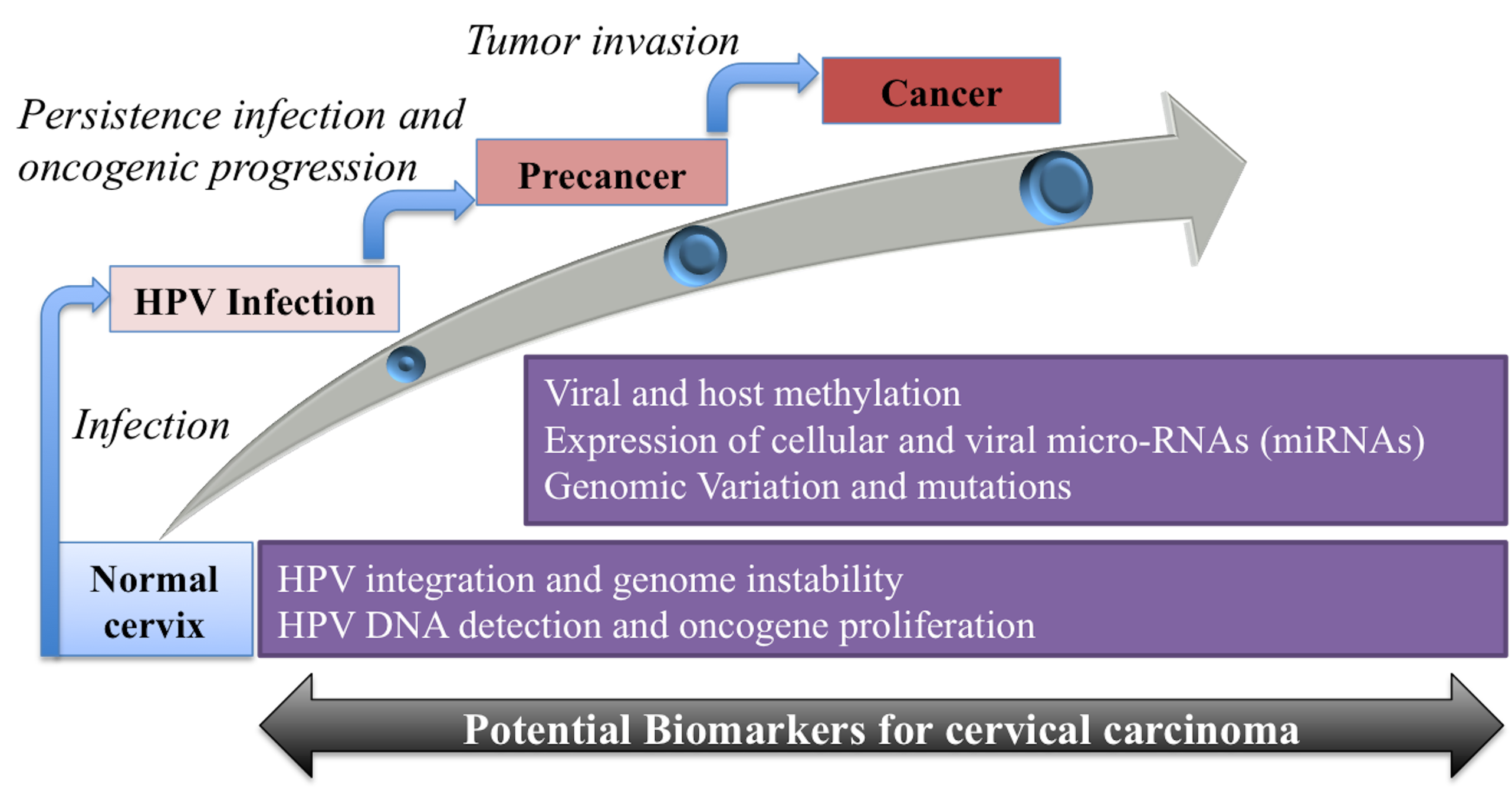 Cervical progression and biomarkers